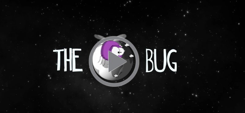 the bug